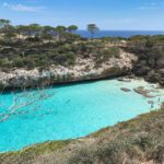 Mallorca Beach PortBlue Hotel Group